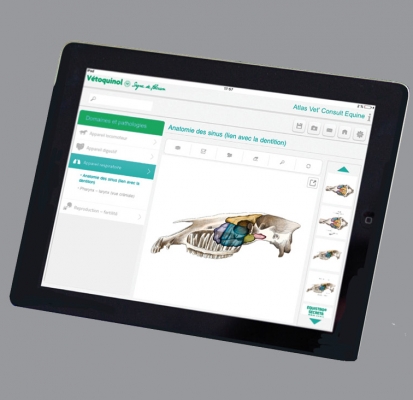 Application Vet’Consult Équin – Vétoquinol