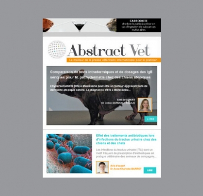 Newsletter Abstract Vet